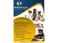 veterinario-e-adestramentos-ao-domicilio-small-0