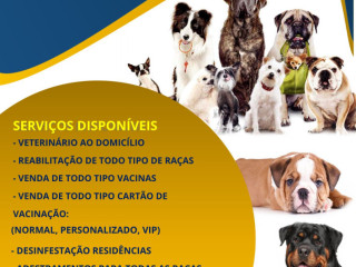 Veterinário e Adestramentos ao Domicílio