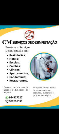 servicos-de-desinfestacao-big-0